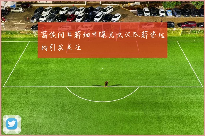 蒿俊闵年薪细节曝光武汉队薪资结构引发关注