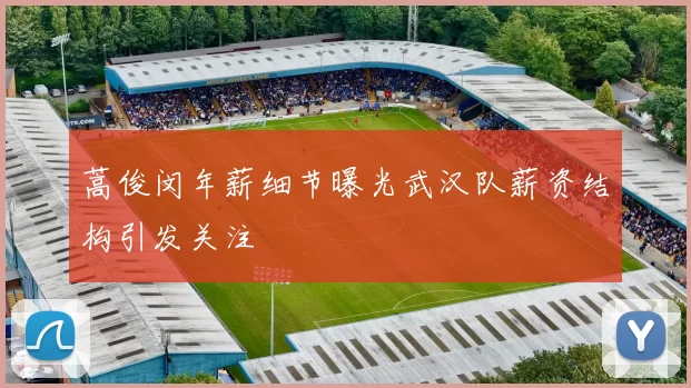 蒿俊闵年薪细节曝光武汉队薪资结构引发关注