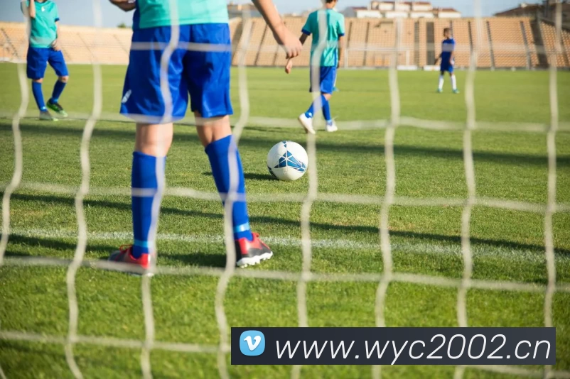 尊龙凯时 - 官方网站发展历程